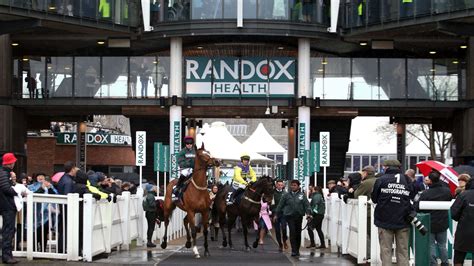 Best bets for Aintree and expert advice for Friday .
